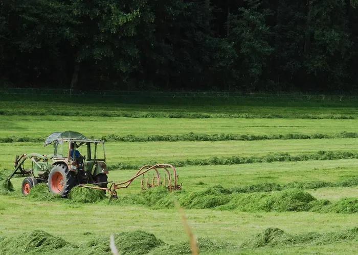 Goldene Traube Herberg Senden (Bavaria)
