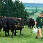 Goldene Traube * Senden (Bavaria)