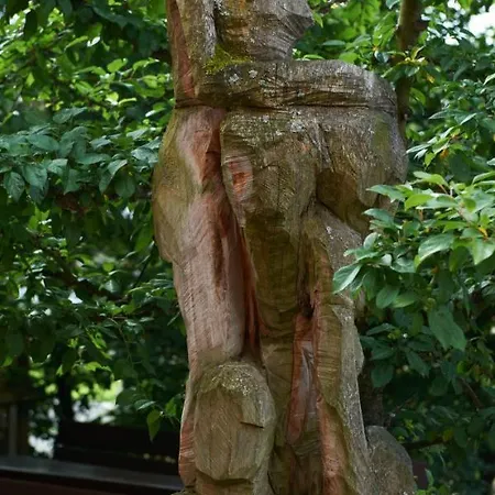 Goldene Traube 森登