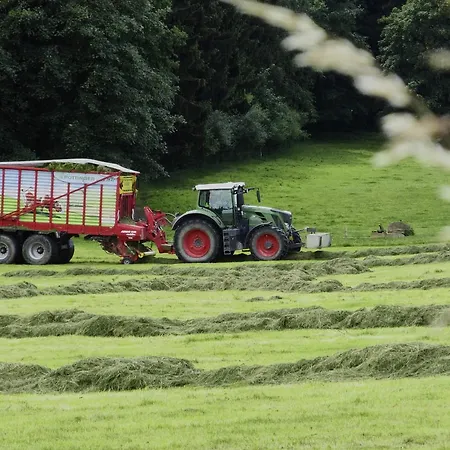 Zajazd Goldene Traube Senden (Bavaria)